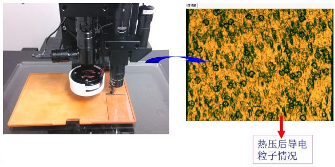 ITO、導電粒子檢視案例